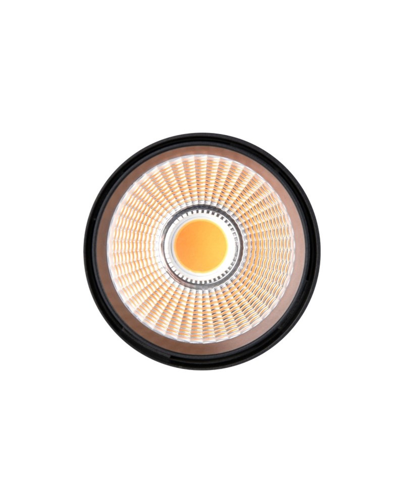 FIJI * OPTICA 30W 38º  ( 069D-L )
